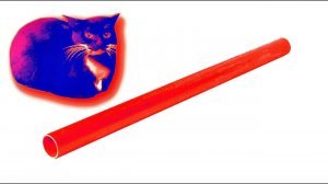 Metalpipe Fall Vs Maxwell Cat