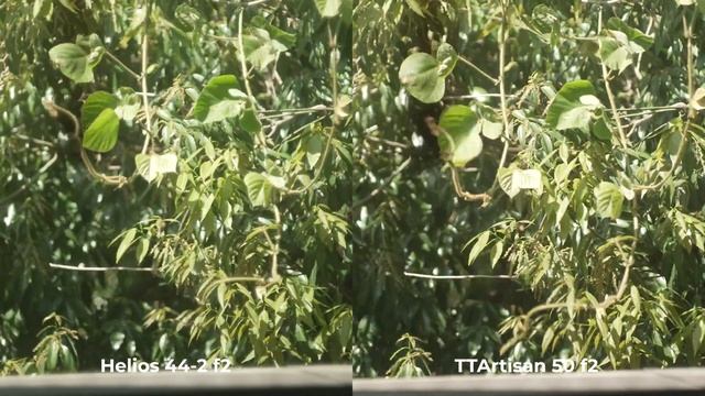 Объектив TTArtisan 50 f1.4 Розыгрыш объектива для Sony E смотреть онлайн