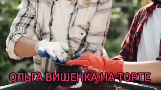 К НИЩЕЙ НИНКЕ ЛИПНУТ ДЕНЬГИ.  ПИРАТСКАЯ ЖИЗНЬ.