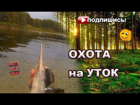 Охота на уток "Хладнокровный подход" Stoeger-2000/ смотреть онлайн