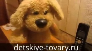 БЕН ГОВОРЯЩИЙ