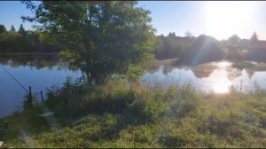 VID-20231201-WA0024.mp4