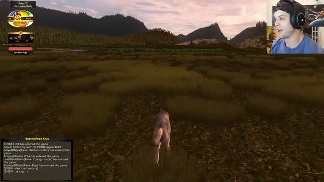 RAISING WOLF PUPS! BEST WOLF SIMULATOR GAME EVER! - Wolf Quest Gameplay смотреть онлайн