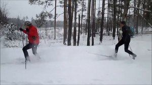 Снег летит и летит