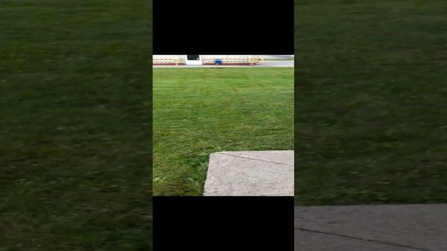 газонокосильщик.3gp