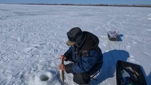 Рыбалка на Каме в  марте. Камские Поляны