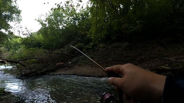 Ни один Окунь не упустит ЭТУ Приманку! Спиннинг Nautilus Varvar-X 0,5 - 2,5 гр! смотреть онлайн