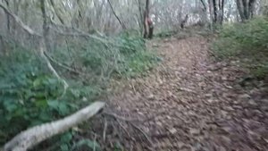 Мамедово Ущелье Лазаревское Сочи Путешествие к Дольменам Лягушка и Мамедов Дольмен. Декабрь 2022