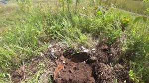 Коп металла рядом с дорогой результат супер! МеталлоКоп вдоль трассы.