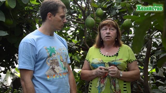 Домашние лимоны. Как вырастить лимон у себя на окне. смотреть онлайн