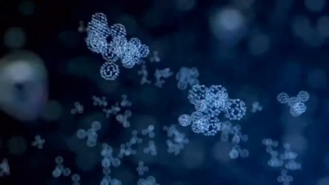 Экологическое мышление