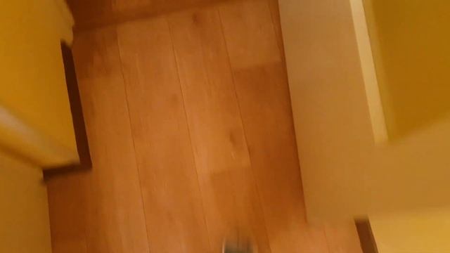 VLOG: СЛИШКОМ МНОГО СМОТРЮ ВЕБИНАР 19.10.2023 смотреть онлайн