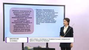 Биология. 10 класс. Цикл Кребса. Основные и промежуточные соединения цикла и  продукты реакции