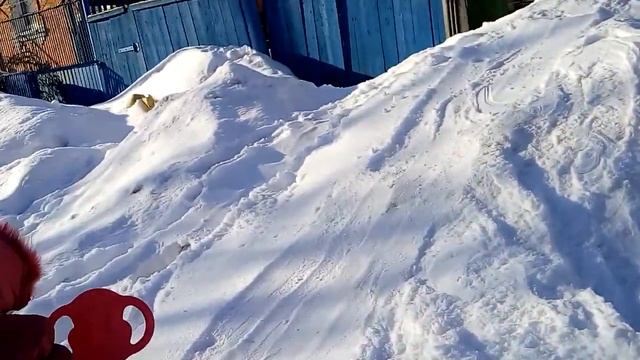 Санки ледянки смотреть онлайн