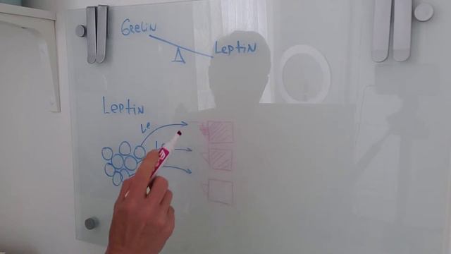 Почему мы всегда голодны? смотреть онлайн