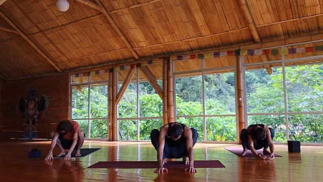 Yoga for Sensitive Wrists | Best Full Yoga Workout No Hands | No Wrists Holistic Yoga Class смотреть онлайн