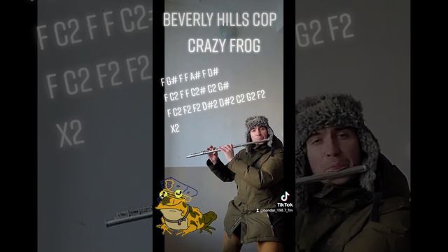 Beverly Hills Cop main theme on a flute смотреть онлайн