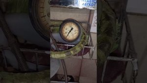 лодочный мотор сеа про 9.8 ремонт термостата