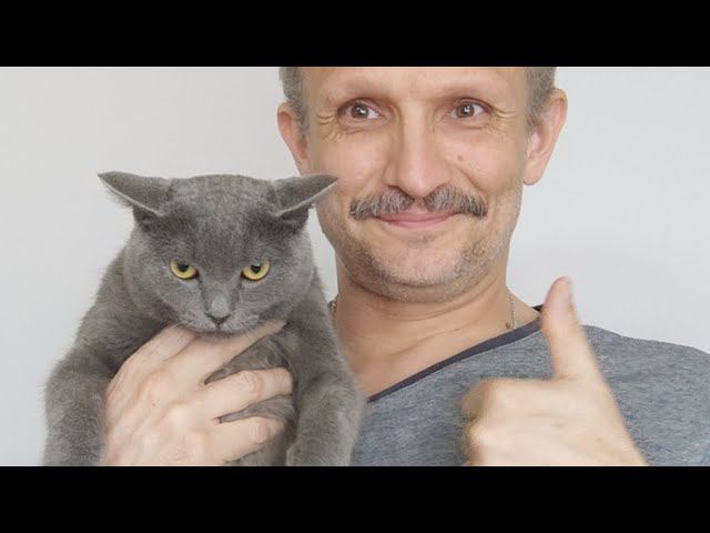 Утренний Автозвук. Стрим #246 смотреть онлайн