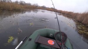 Раздача ЩУКИ в НОЯБРЕ. Ловля Щуки на КРУПНЫЙ СИЛИКОН перед Морозами.