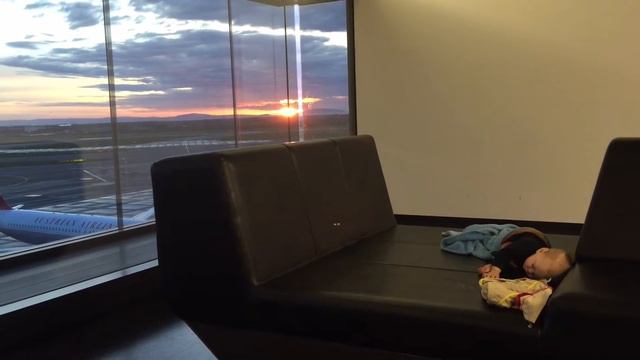 Перелёт Днепр -Вена - Майами с тремя детьми!!! смотреть онлайн