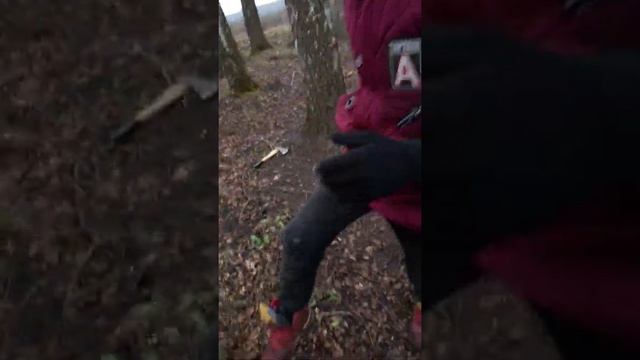 Срубили дерево. Оно сухое смотреть онлайн