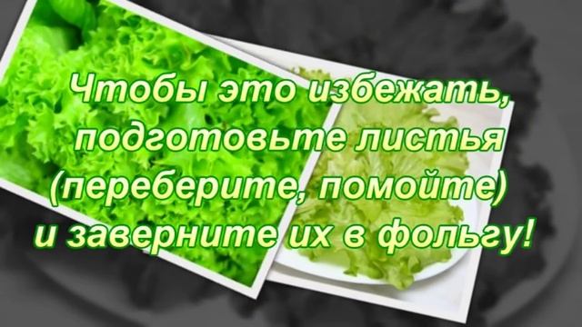 Как сохранить листья салата свежими? смотреть онлайн