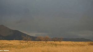 Очень красивая Христианская песня : В пустыне греховной земной 🎺 💚