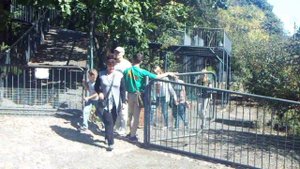 "КАК ПРЕКРАСЕН ЭТОТ МИР" Тухманова пою я - А. Лешванов - КАК МЫ ПОСЕТИЛИ Primorsky Safari Park