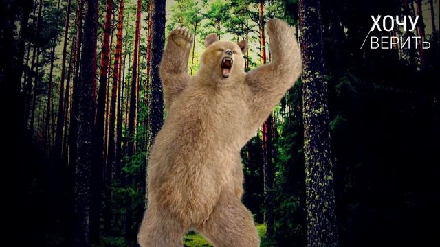 Длинная и странная история поисков снежного человека смотреть онлайн
