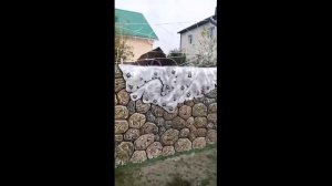 забор   из  арт бетона   декоративный  камень .. мастер    Влад  Гуф.