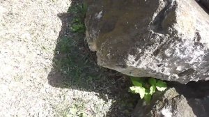 Реконструкция склепа Геракла в музее Анапы