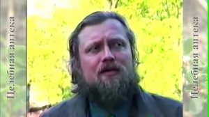 Полынь горькая