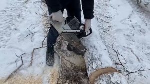 Бензопила ZimAni 372XP PRO - первый день работы.