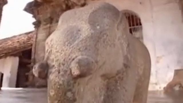 Sri Lanka Roots of Paradise 5 of 5 смотреть онлайн