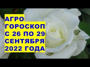 Агрогороскоп с 26 по 29 сентября 2022 года