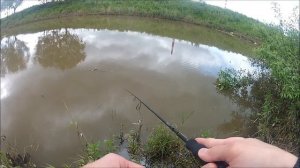 FishComm Shop: Kosadaka M Minnow XS 50F. Знакомство с воблером