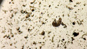 "Тихоходские хроники 3"