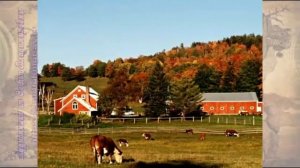 География 10-11 кл Максаковский §9-2 Мы рассматриваем макрорегионы США