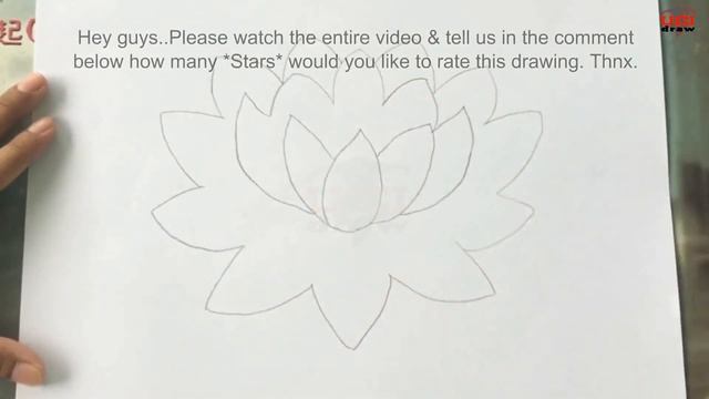 Lotus Drawing | How to Draw a Lotus Flower | Easy Outline Step by Step Sketch смотреть онлайн