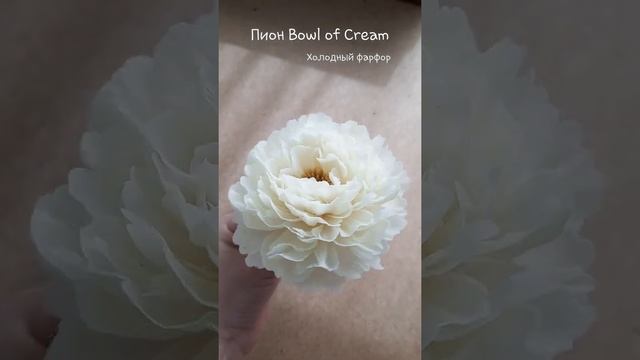 Пион Bowl of Cream из холодного фарфора. Анна Крахина.