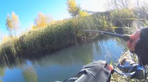 Щука сходит с ума от воблера. Воблер Piscifun косит щуку.