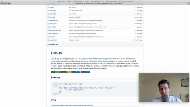 What is happening to Lisk? - Lisk on GitHub - Programmer explains