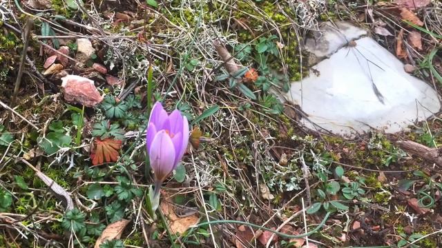 Где брать энергию для походов смотреть онлайн