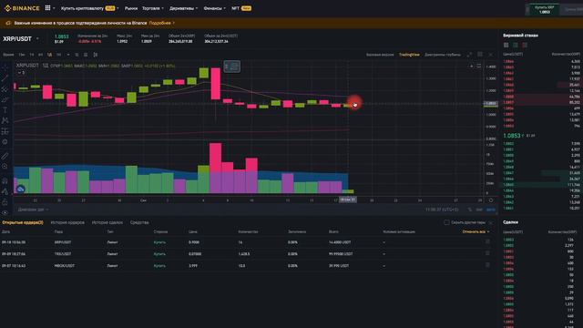 Криптовалютная биржа Binance. ч.1 Покупка криптовалюты, торговля с ордерами. Торгуй и зарабатывай