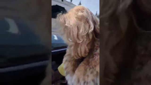 #помощьбабушкам Бесконечная Благодарность нашим Добрым Людям, то что заботятся о людям. Спасибо Вам