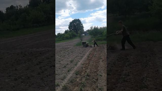 прополка мотоблоком міжрядки картоплі смотреть онлайн