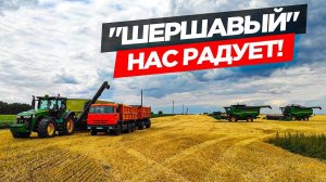 Уборка ячменя двумя комбайнами JD-660/670i. Работа на тракторе с перегрузчиком зерна.