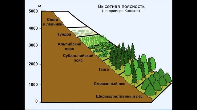 Окружающий мир 4 класс ч.1, тема урока "С севера на юг", с.74-77, Перспектива