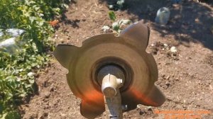 Чем лучше косить траву: леской или диском? Бензиновый триммер Husqvarna 128R. "Мое Подворье"